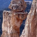 (2000-08) USA Westküste - Bryce Canyon 002
