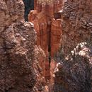 (2000-08) USA Westküste - Bryce Canyon 004