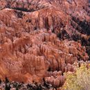 (2000-08) USA Westküste - Bryce Canyon 011