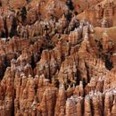 (2000-08) USA Westküste - Bryce Canyon 014