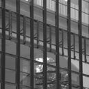(2001-02) Bauhaus Fassade 02