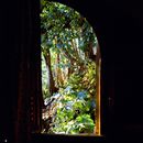 (2001-05) Kuba 02025 - Morgen in unserem Zimmer im El Bosque