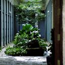 (2001-05) Kuba 03016 - Havanna - Innenhof in der Mercaderes