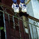 (2001-05) Kuba 04019 - Havanna - Sport ist eine saubere Sache