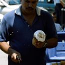 (2001-05) Kuba 04025 - Havanna - Markt am Plaza de Armas - Kokosnuesse