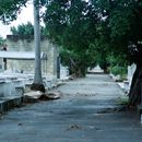 (2001-05) Kuba 05005 - Havanna - Der Millionenfriedhof Cementerio Cristóbal Colón