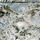 (2001-05) Kuba 08015 - Santa Clara - Fossilien als Bodenplatten