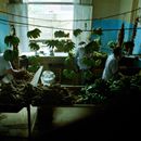 (2001-05) Kuba 10026 - Sancti Spiritus - Im Mercado Agropecuario
