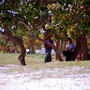 (2001-05) Kuba 13011 - Playa Santa Lucia - Arbeiter am Strand