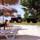 (2001-05) Kuba 13012 - Playa Santa Lucia - Arbeiter am Strand