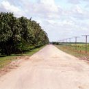 (2001-05) Kuba 13025 - Provinz Las Tunas - Kubanische Straßen