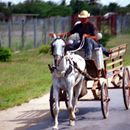 (2001-05) Kuba 13035 - Provinz Las Tunas - Streetlife