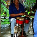 (2001-05) Kuba 17017 - Baracoa - Spanferkel-Party - Musiker