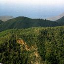 (2001-05) Kuba 18005 - Passstrasse La Farola - Ringsum Berge