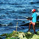 (2001-05) Kuba 23020 - Havanna - Angler am Malecon