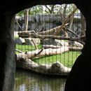 (2004-05) 289 Im Zoo