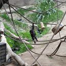 (2004-06) 082 Im Zoo