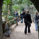 (2004-06) 086 Im Zoo