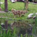 (2004-06) 190 Im Zoo