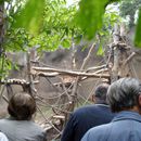(2004-06) 201 Im Zoo