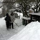 (2011-01) 1106 Schnee
