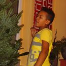(2012-12) 7066 Der Weihnachtsbaum ist dran