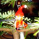 (2012-12) 7077 Der Weihnachtsbaum ist dran