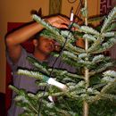 (2013-12) 6823 Weihnachtsbaum