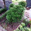 (2014-08-10) 1009 Friedhof Markkleeberg-Ost