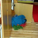 (2014-10) DM 28356 - Markkleeberg - Max versteckt sich im Kleiderschrank