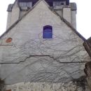 (2015-04) CP 0226 - Wachau - Rund um die Kirchenruine