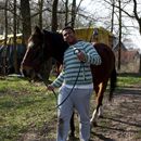 (2015-04) HX 1587 Ostern in Pixel - Gassi gehen mit Pferden