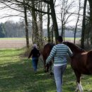 (2015-04) HX 1588 Ostern in Pixel - Gassi gehen mit Pferden