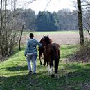 (2015-04) HX 1590 Ostern in Pixel - Gassi gehen mit Pferden