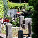 (2015-07) Ruegen HK 3342 - Radtour - Neuer Friedhof Altenkirchen