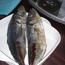 (2016-04) DM 9025 - Fisch aus dem Afrika-Laden