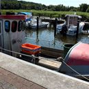 (2016-07) Ruegen HK 7117 - Ralswiek - Fischerboot im Hafen