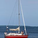 (2016-07) Ruegen HK 7126 - Ralswiek - Einlaufendes Segelboot