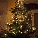 (2016-12) HK 0204 - unser Weihnachtsbaum