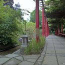 (2017-06) LMH 1846 - Japanischer Garten am Sankt Elisabeth