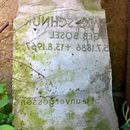 (2017-07) HLM - 2725 - Alter Friedhof Markkleeberg - Abdruck im Putz