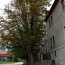 (2017-08) HK Kloster Helfta 854 - am ehemaligen Gutshaus