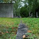 (2017-08) HLM (035) - Alter Israelitischer Friedhof Eutritzsch