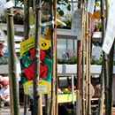 (2018-04) HK Bad Dürrenberg 0464 - Tag der offenen Gärtnerei Straube - Stillleben