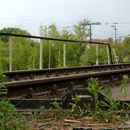 (2018-05) HK 1504 - Lost Places - Ringlokschuppen des Bayerischen Bahnhofs