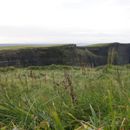 (2019-10) Irland HK 23630 - Cliffs of Moher
