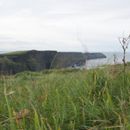 (2019-10) Irland HK 23634 - Cliffs of Moher