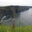 (2019-10) Irland HK 23638 - Cliffs of Moher