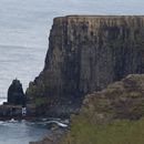 (2019-10) Irland HK 23647 - Cliffs of Moher