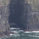 (2019-10) Irland HK 23648 - Cliffs of Moher